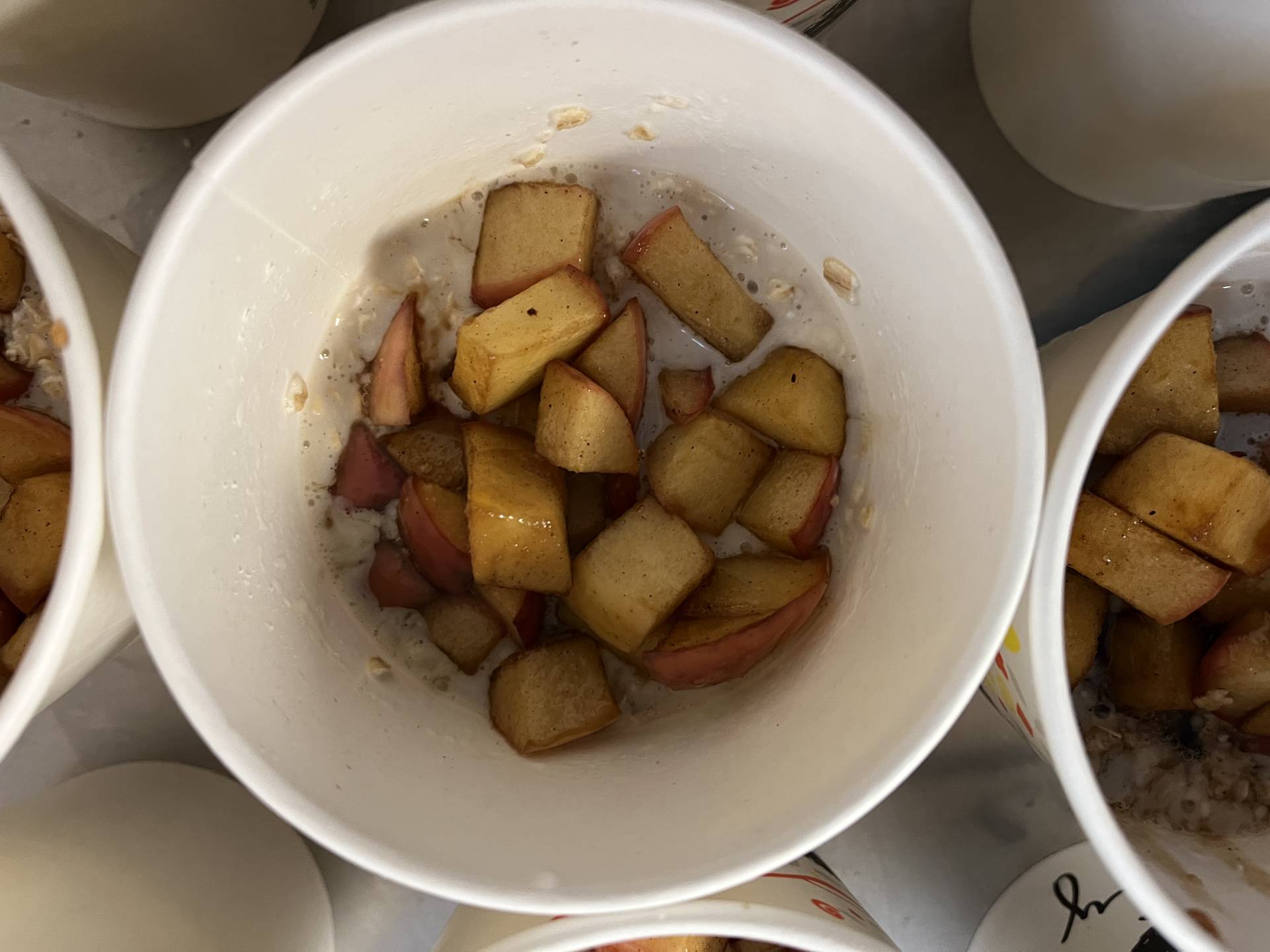 Breakfast) Apple Pie Protein Oats (Frozen)